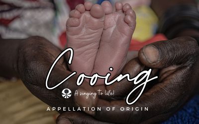 ARRIVES AT APPELLATION OF ORIGIN: COOING, THE DOCUMENTARY