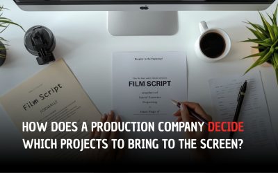 HOW DOES A PRODUCTION COMPANY DECIDE WHICH PROJECTS TO BRING TO THE SCREEN?